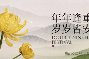 年年逢重阳 岁岁皆安康