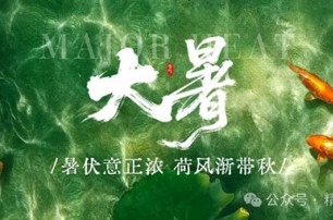 暑伏意正浓 荷风渐带秋