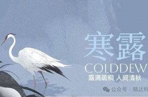 寒露入暮，秋色满庭