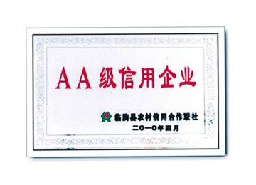 Enterprise credit Class AA