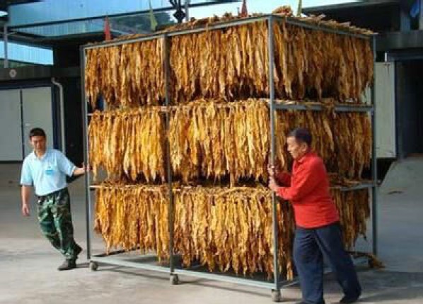 Tobacco leaf dryer